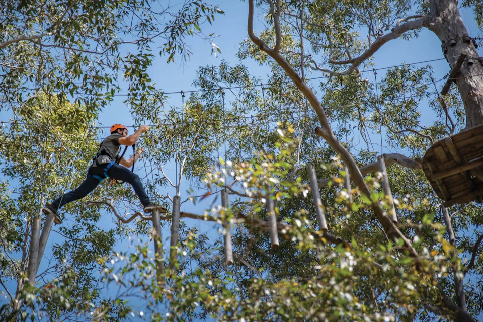 A person wearing a helmet navigates a rope bridge in an outdoor treetop adventure course surrounded by trees and a blue sky.