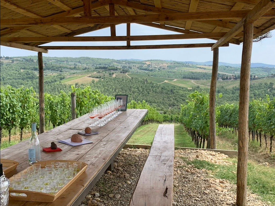 Wooden table with wine glasses under a rustic canopy, overlooking a vineyard and rolling hills in the distance.