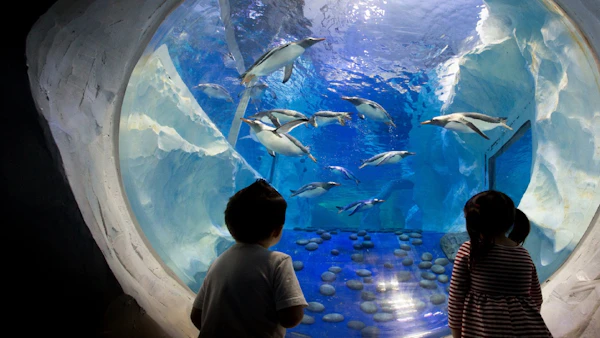 Kasteel van Villandry tickets