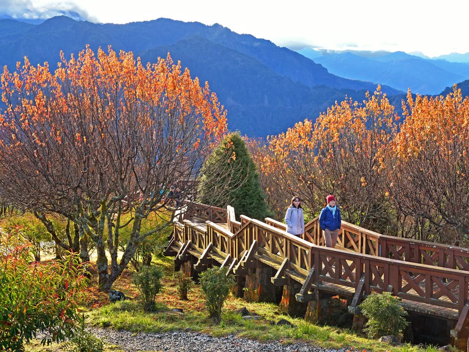Two people walking on a wooden bridge surrounded by autumnal trees, with a mountain range in the background.