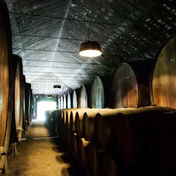Porto: Half Day City Tour by Bus with Port Wine Tasting + Cruise 5