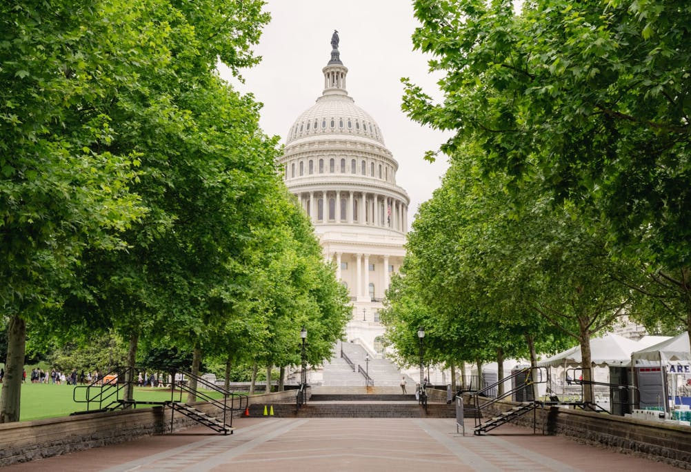 美国国会大厦的穹顶两侧都是郁郁葱葱的绿色树木，有一条砖砌的通道和通往大楼的台阶。