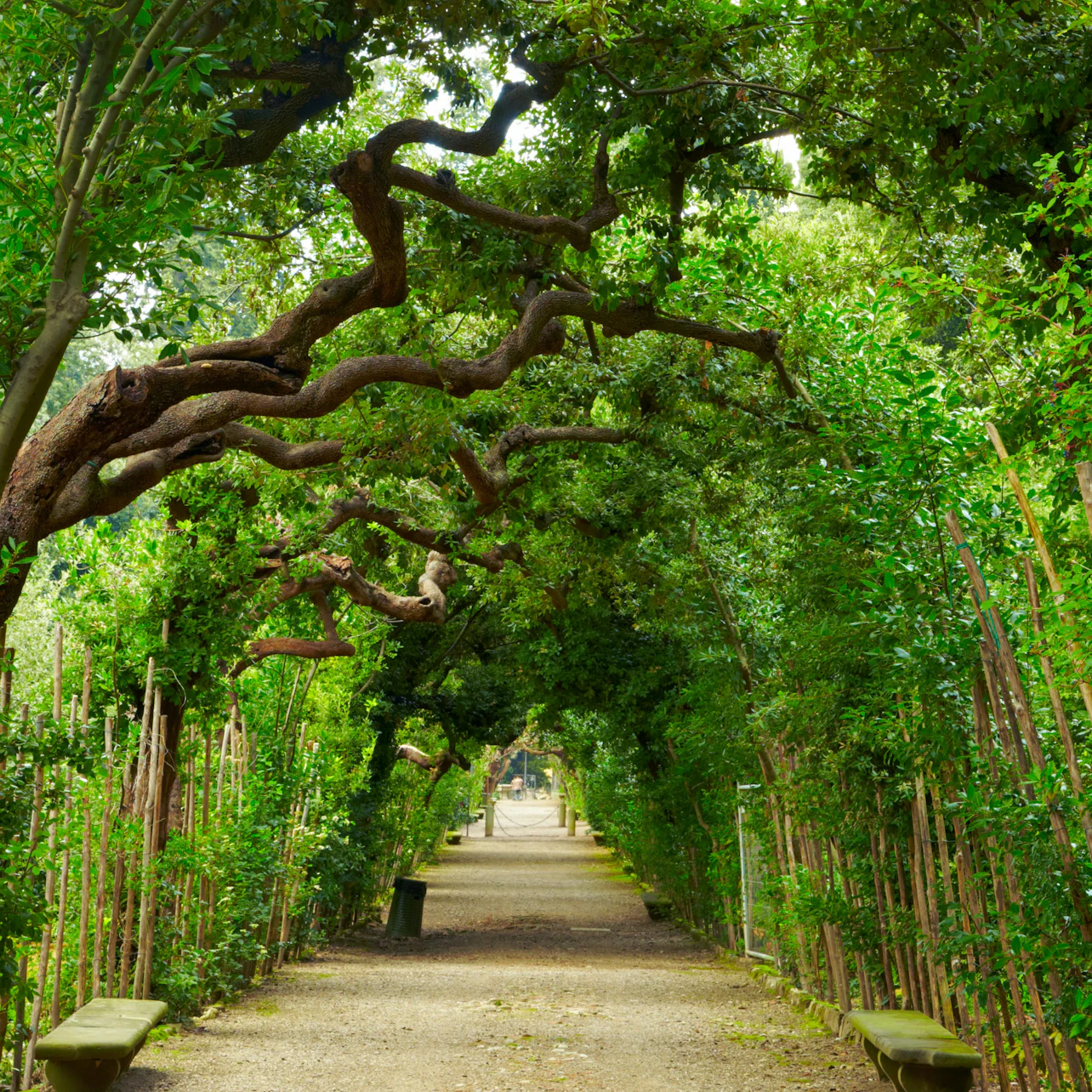 Palazzo Pitti & Boboli Gardens: Reserved Entrance + Florence City Audio Guide in Florence β Tiqets