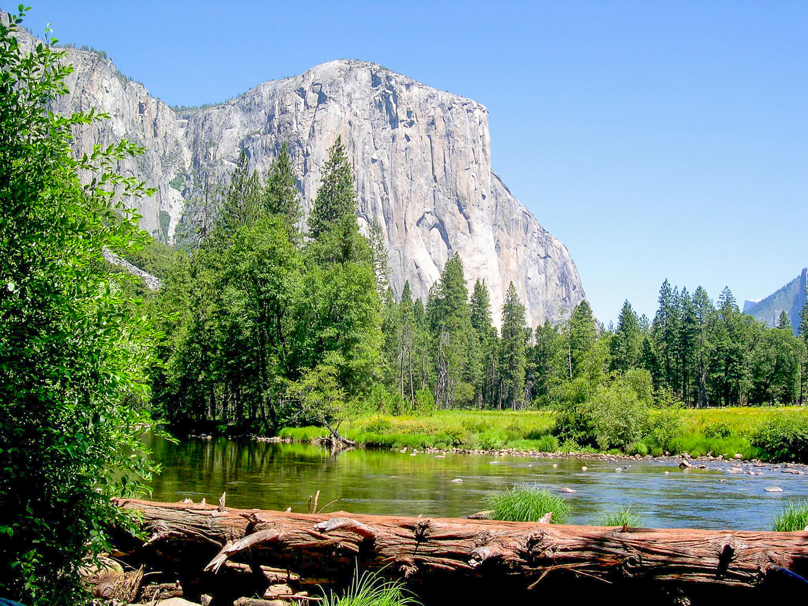En stor klippformation reser sig bakom ett skogsområde med en lugn flod i förgrunden och en nedfallen stock längs flodstranden.
