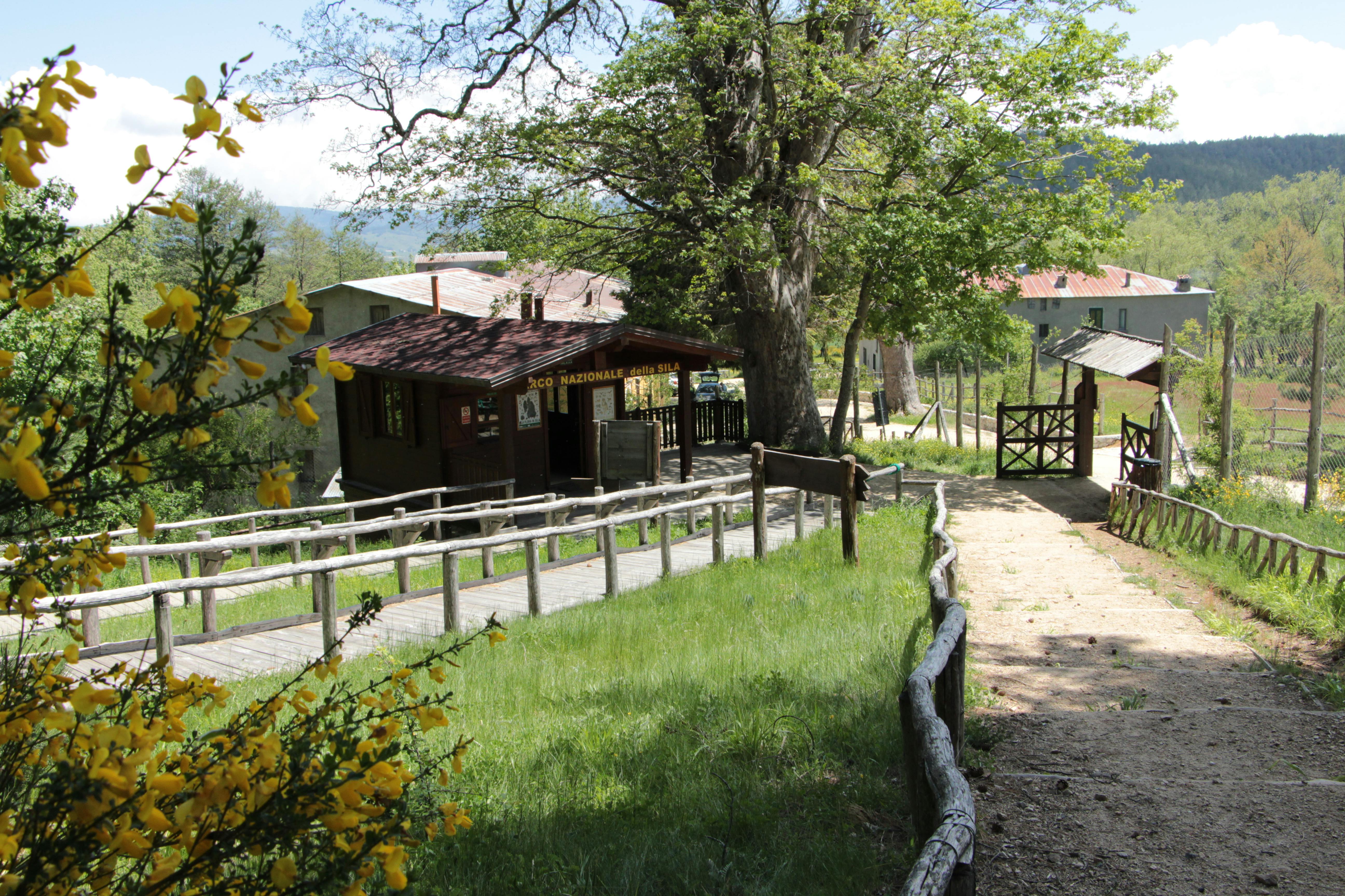Cabina di legno lungo un sentiero sterrato, circondata da verde e fiori gialli, con recinzione rustica e alberi sullo sfondo.