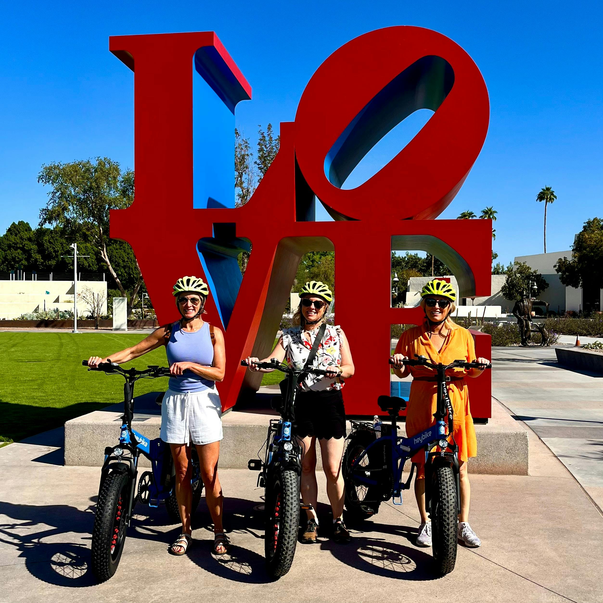 Noleggio e formazione di Fat Tire E-Bike — 4