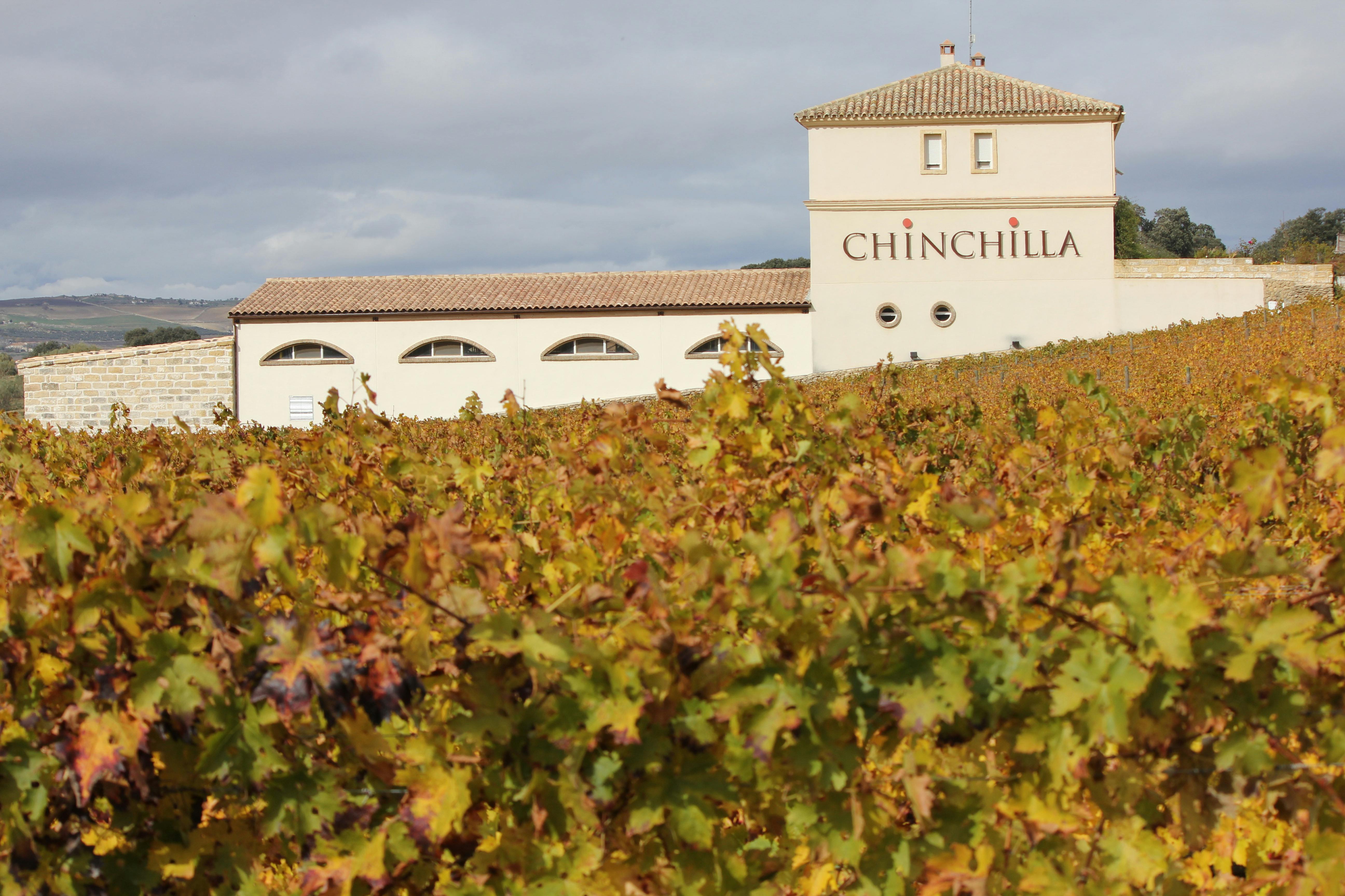 Building labeled "CHINCHILLA" viewed over a vineyard with autumn-colored grapevines under a cloudy sky.