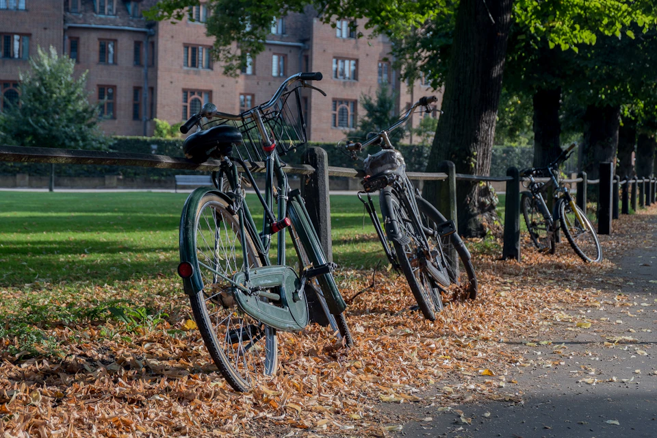 bikes