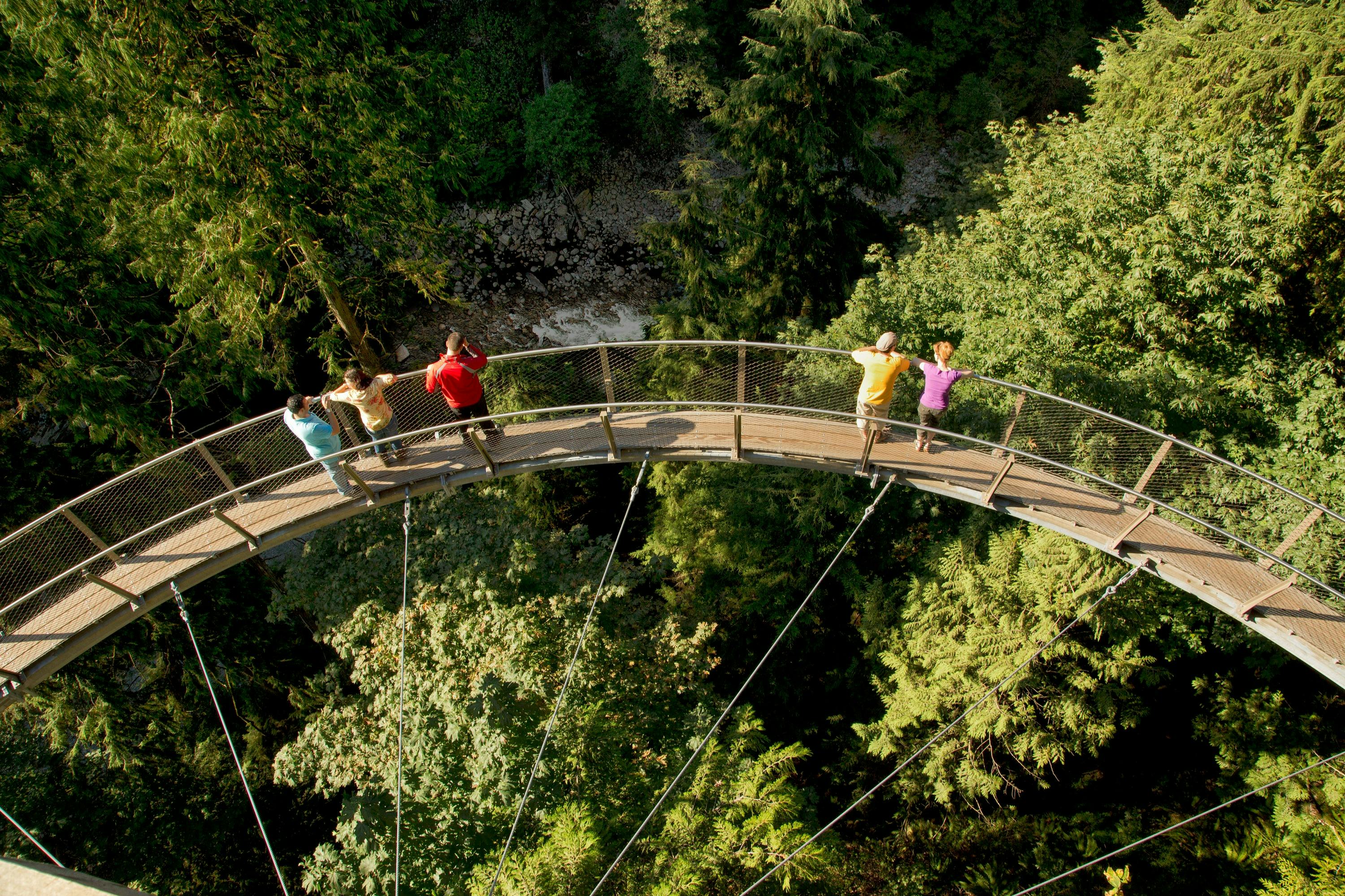 Capilano Suspension Bridge - Cliffwalk 