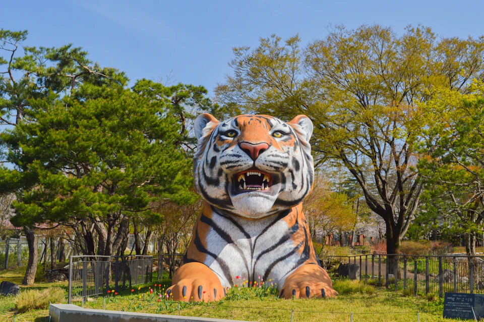 Seoul Zoo: 2 Elevator Access + Entry Ticket Set