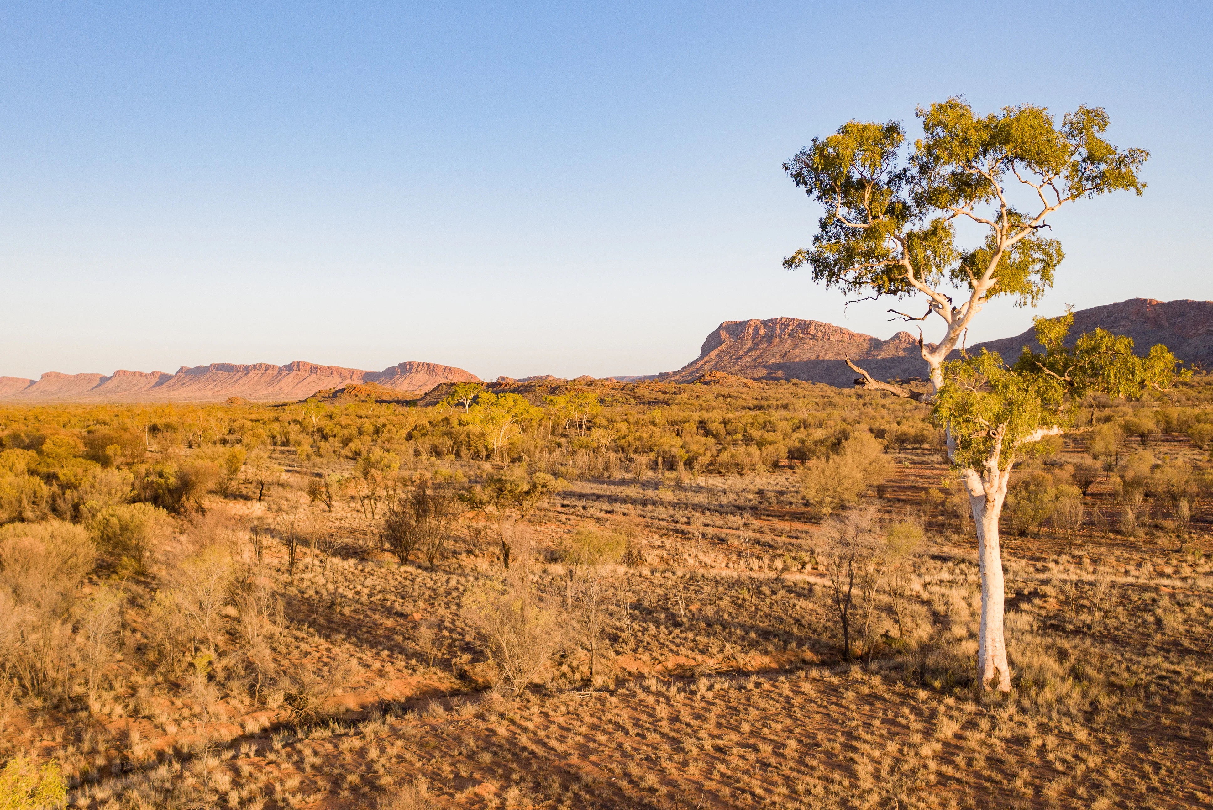 West MacDonnell Ranges: Guided Tour + Roundtrip Transfer + Lunch