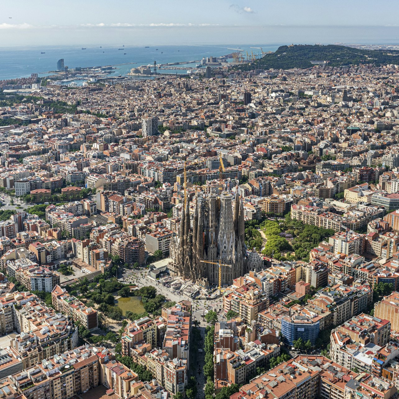 Sagrada Familia: Go With a Local Guided Tour in Barcelona β Tiqets