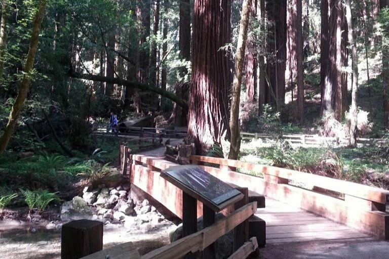 Muir Woods National Monument