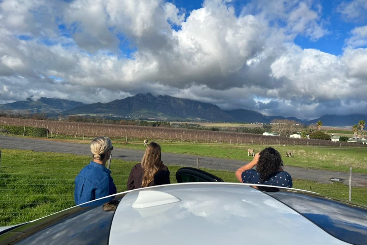 Cape Winelands Wine Tour & Cheetah Outreach Visit - Accommodations in Cape Town
