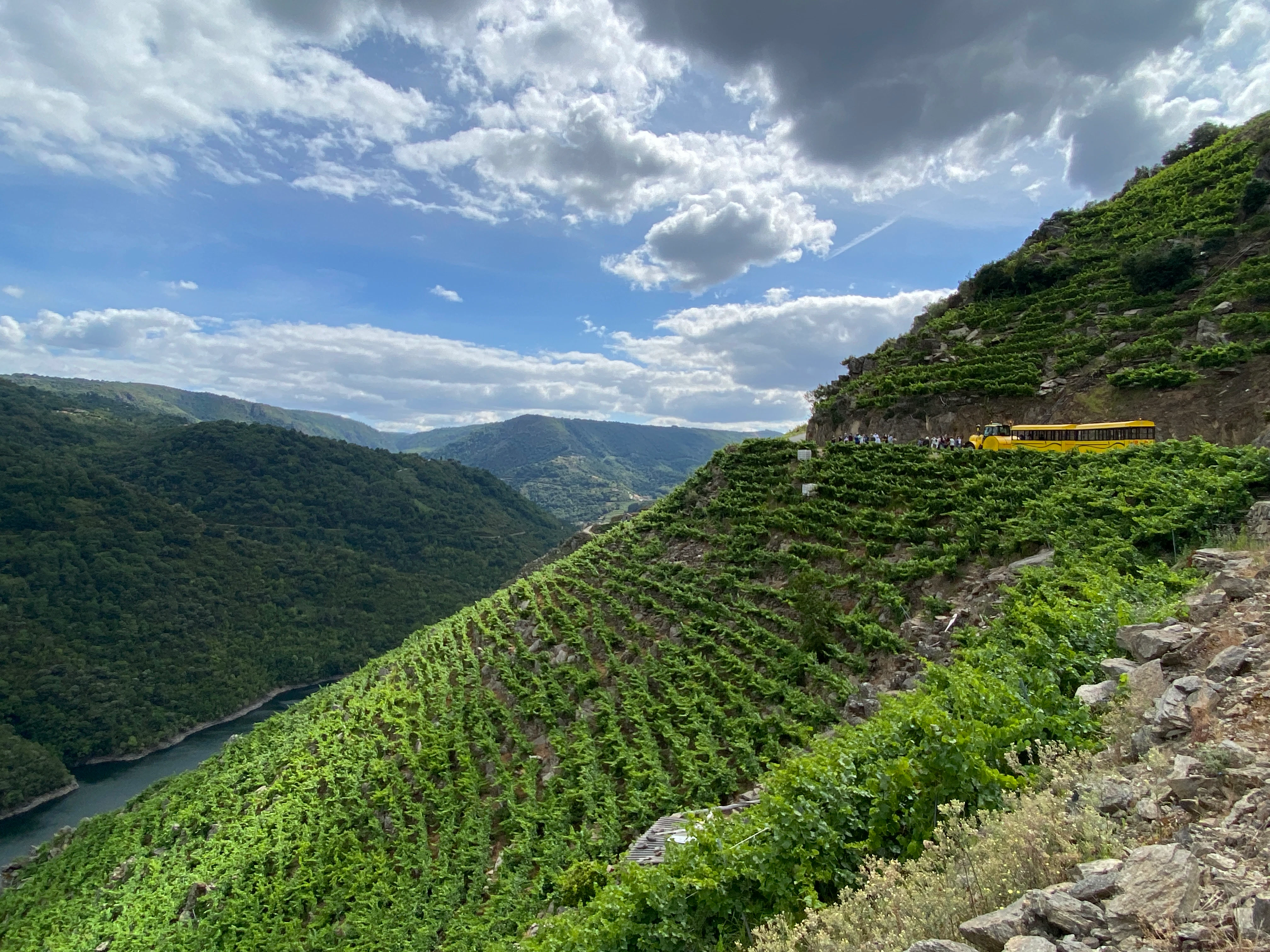 Aba Sacra Tourist Train: Train Ride