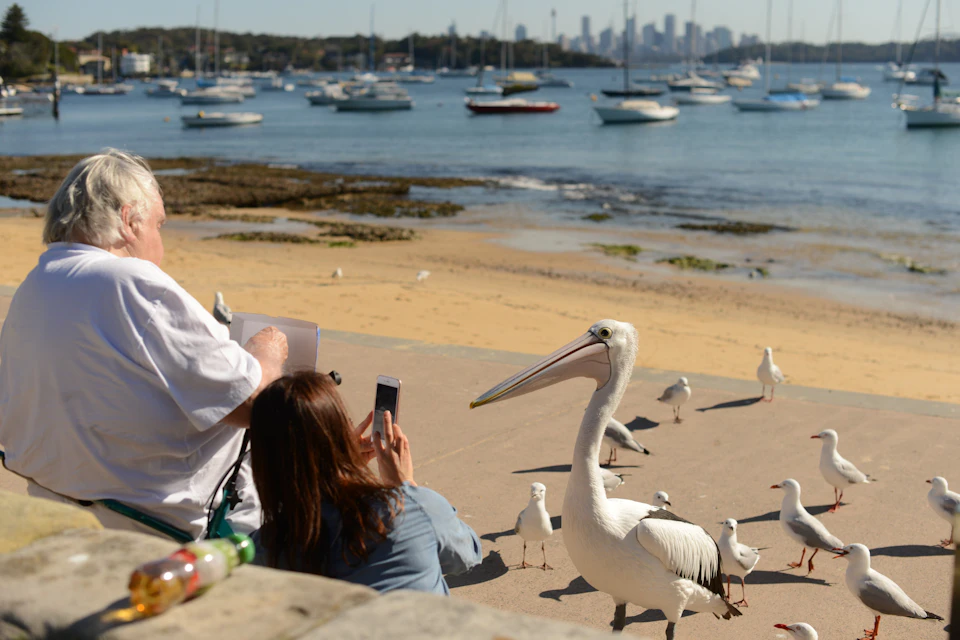 Live at Rose Bay