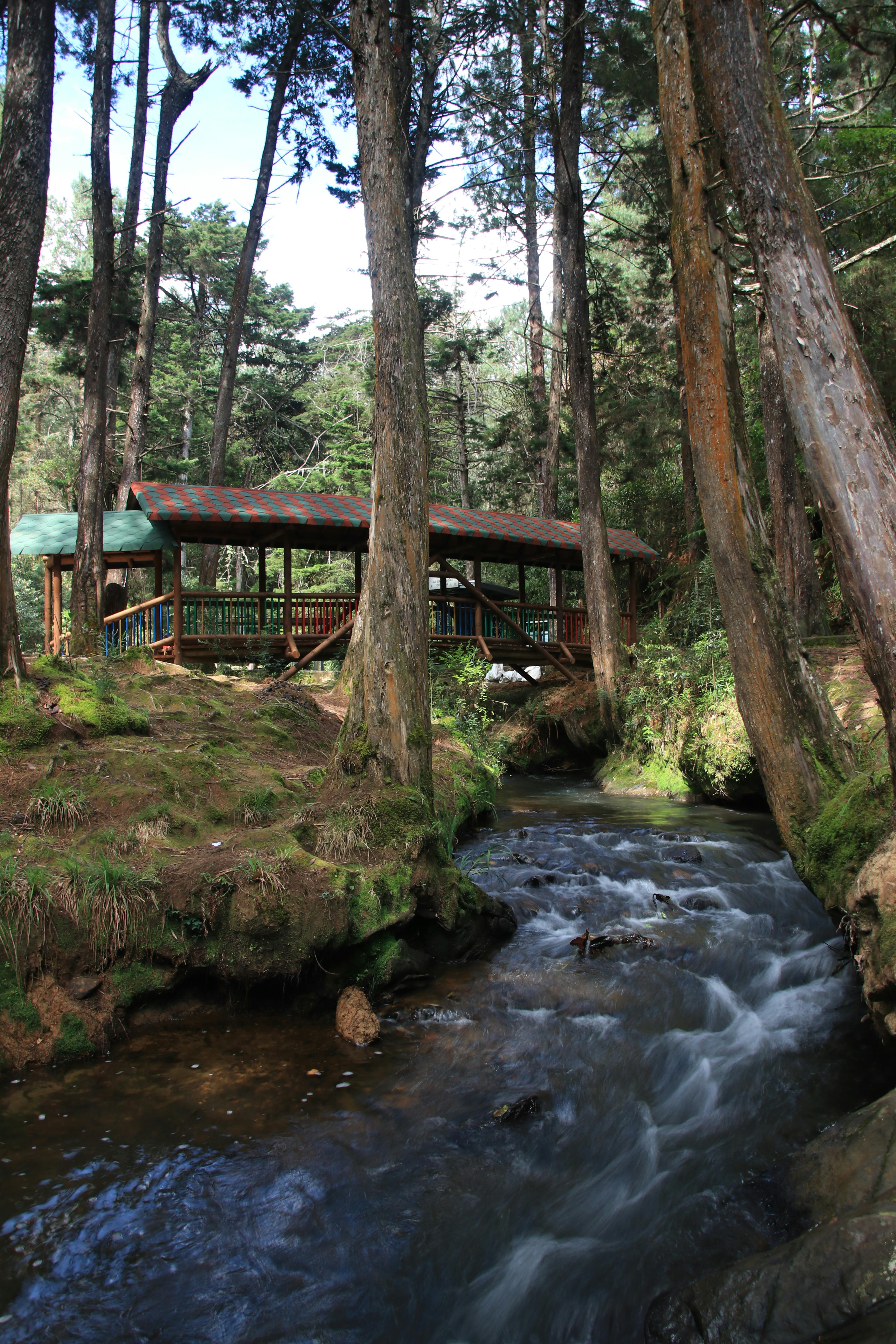 Un petit ruisseau coule à travers une forêt sous un pont en bois dont le toit est orné de motifs verts et rouges.
