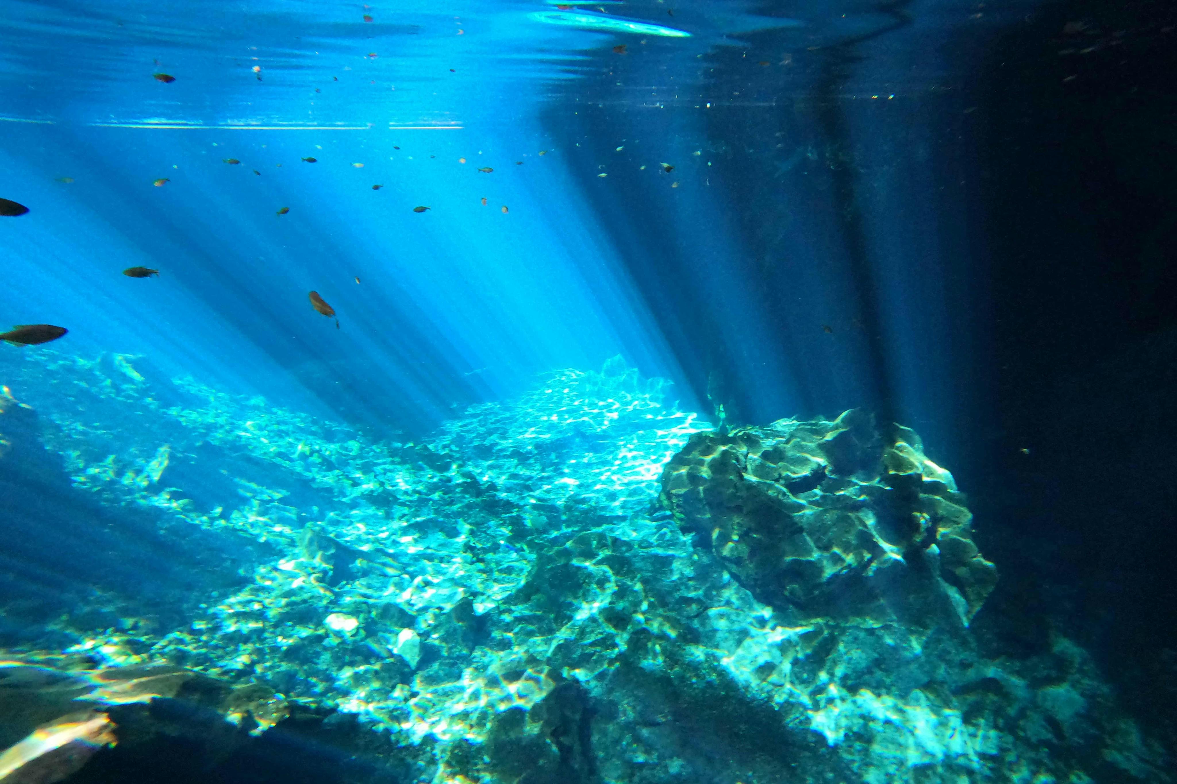 Underneath a Cenote