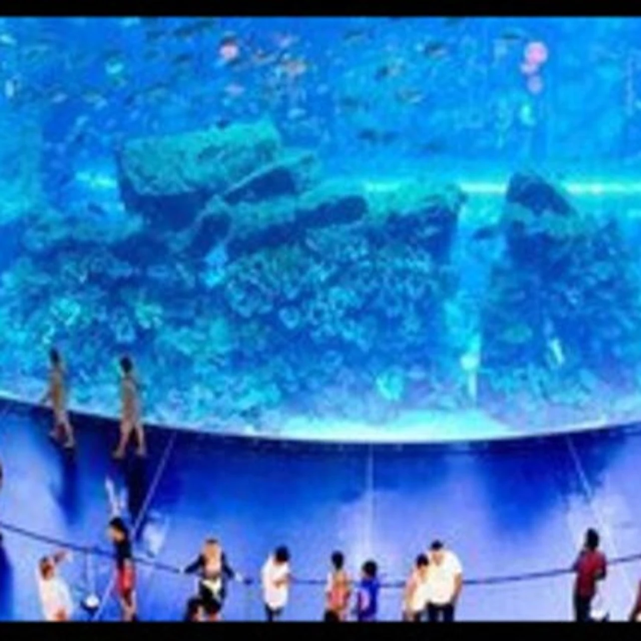 Dubai Aquarium & Underwater Zoo: Silver Pass 4
