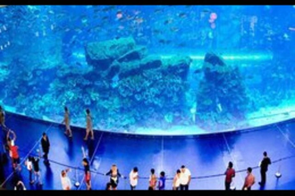 Dubai Mall Aquarium