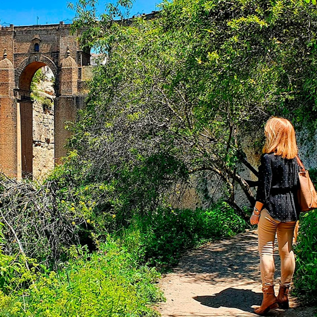 Ronda & Setenil de las Bodegas: Day Tour from Málaga + Optional Guided Visit
