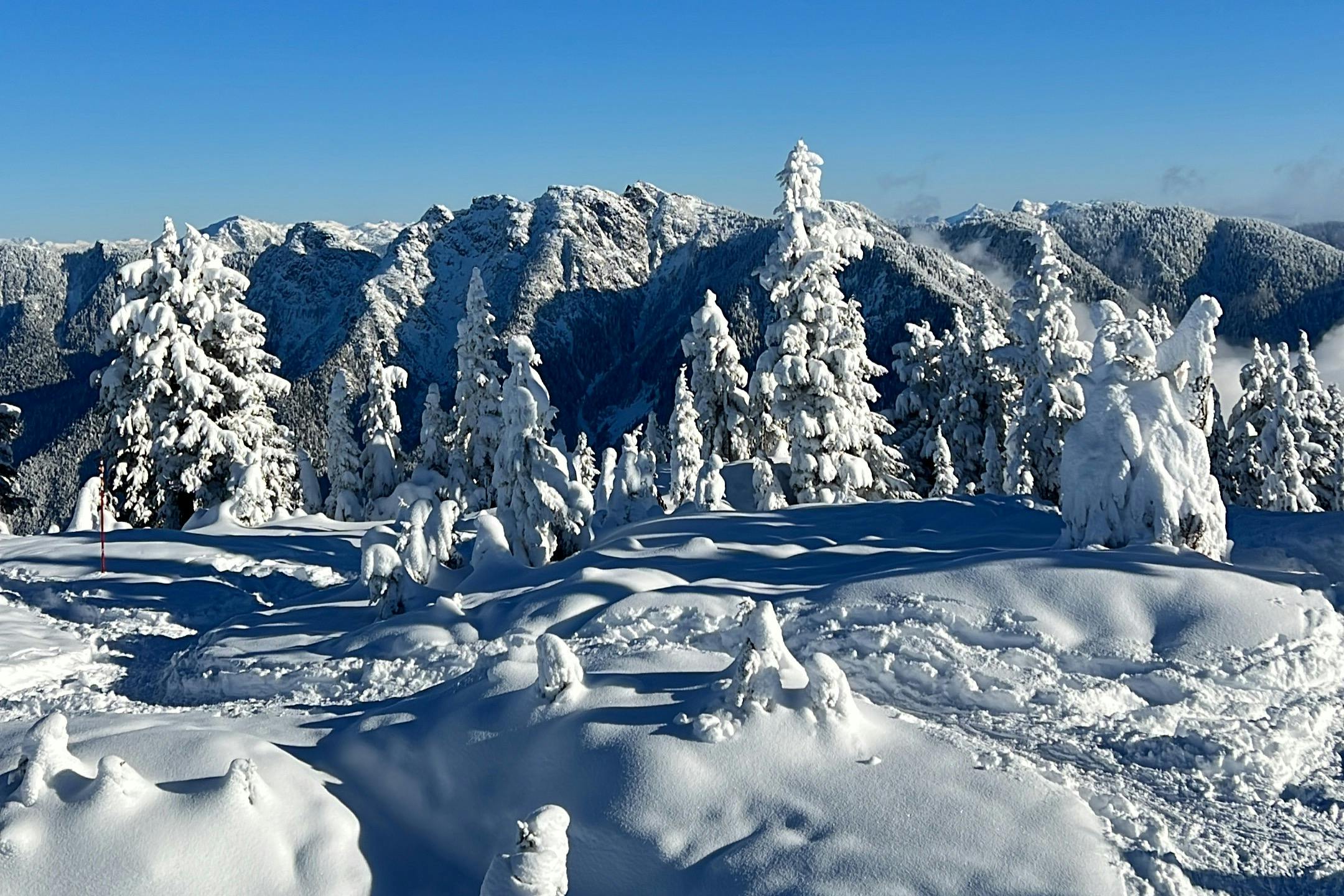 置身于冬季天堂