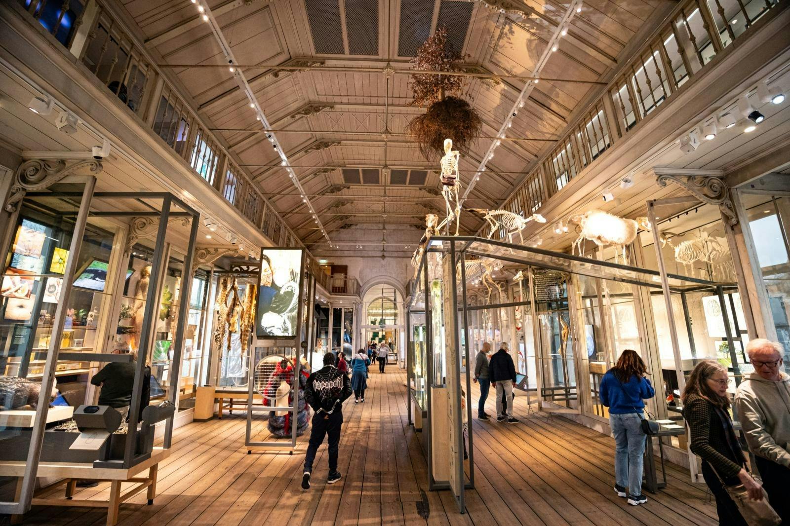 Une galerie de musée avec des vitrines, des squelettes suspendus et des visiteurs marchant sur un plancher en bois sous un haut plafond.