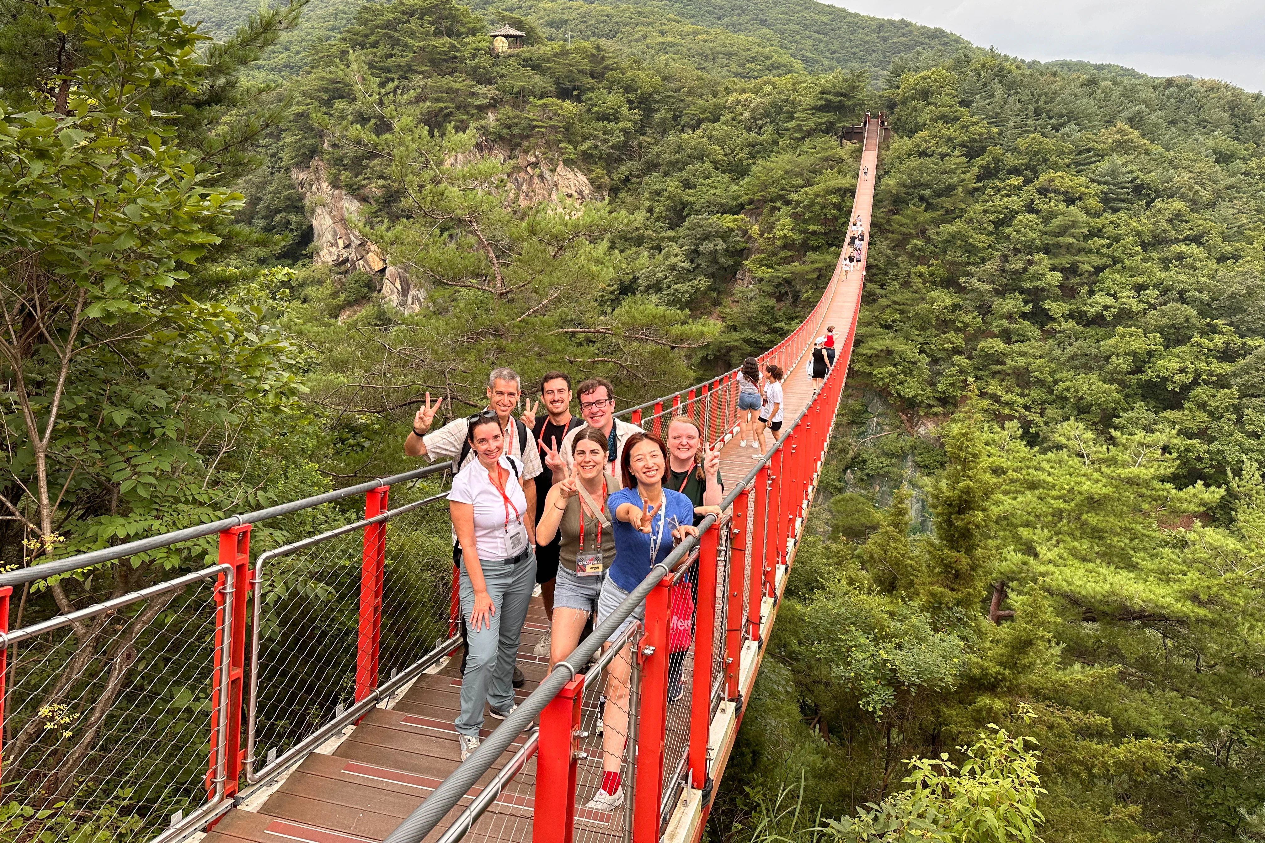 South Korea: Guided Demilitarized Zone & Suspension Bridge Tour + Transfers