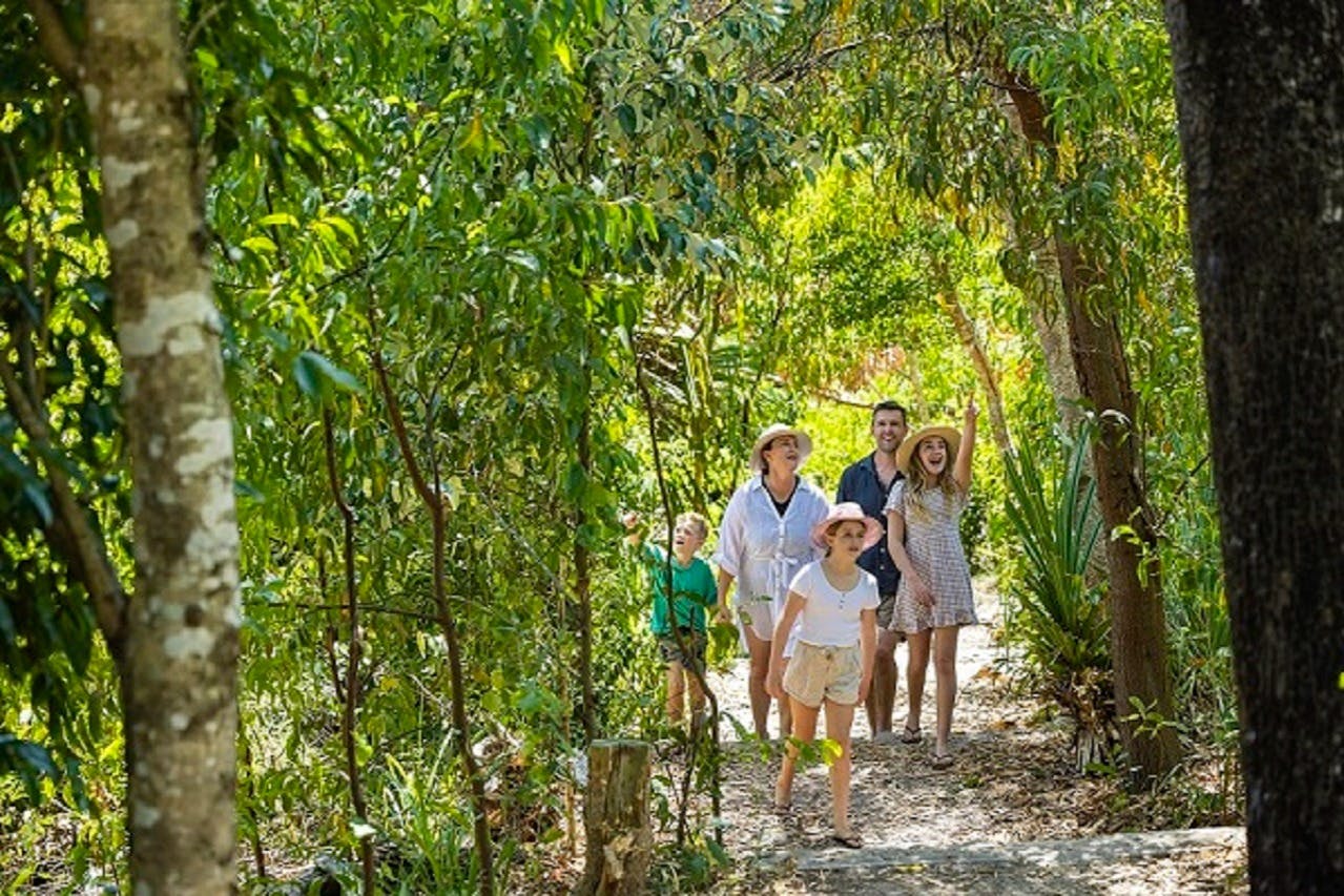 Una famiglia di cinque persone, che indossa abiti estivi casual e cappelli, cammina su un sentiero nel bosco circondato dal verde in una giornata di sole.