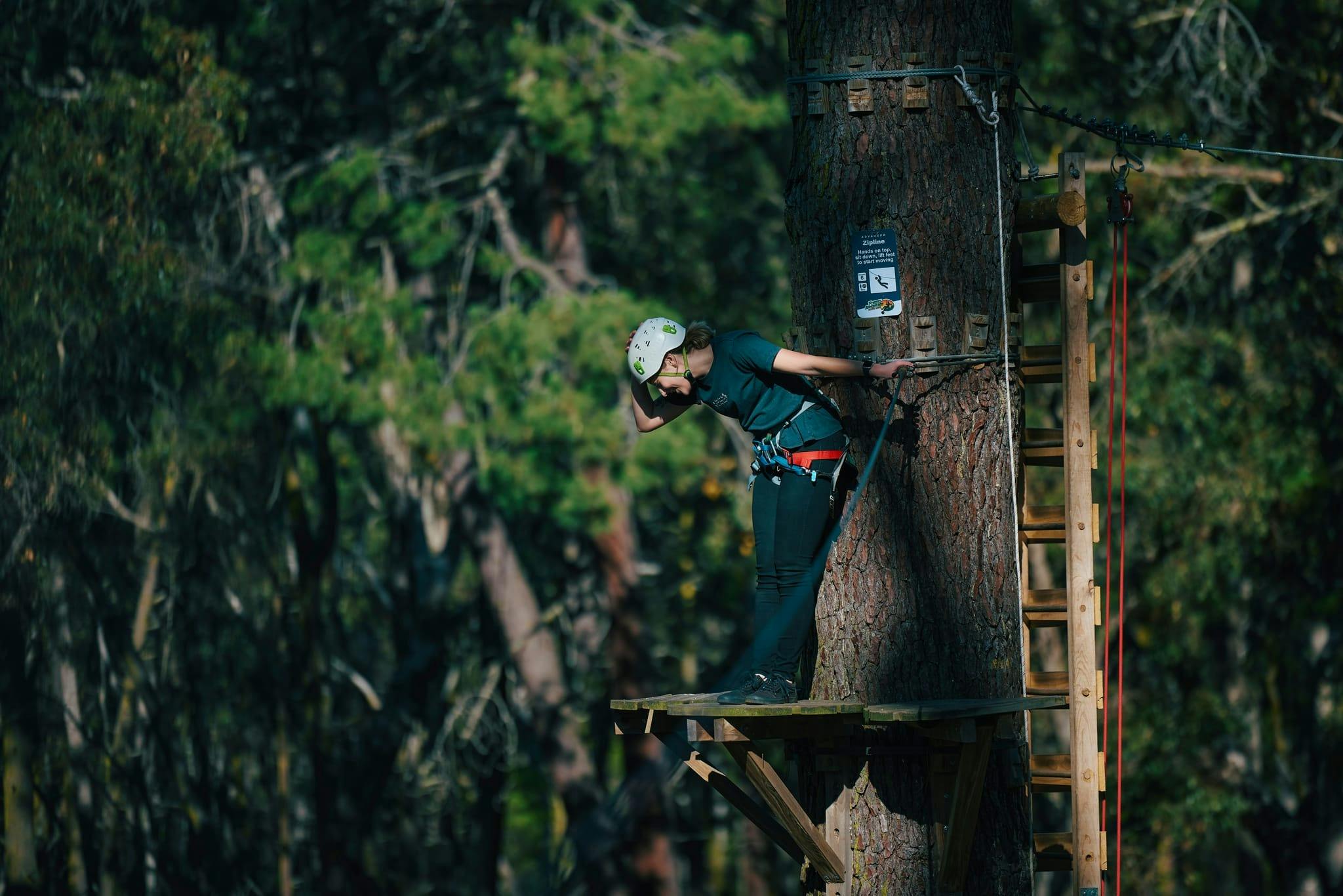 Ψηλά ανάμεσα στις κορυφές των δέντρων