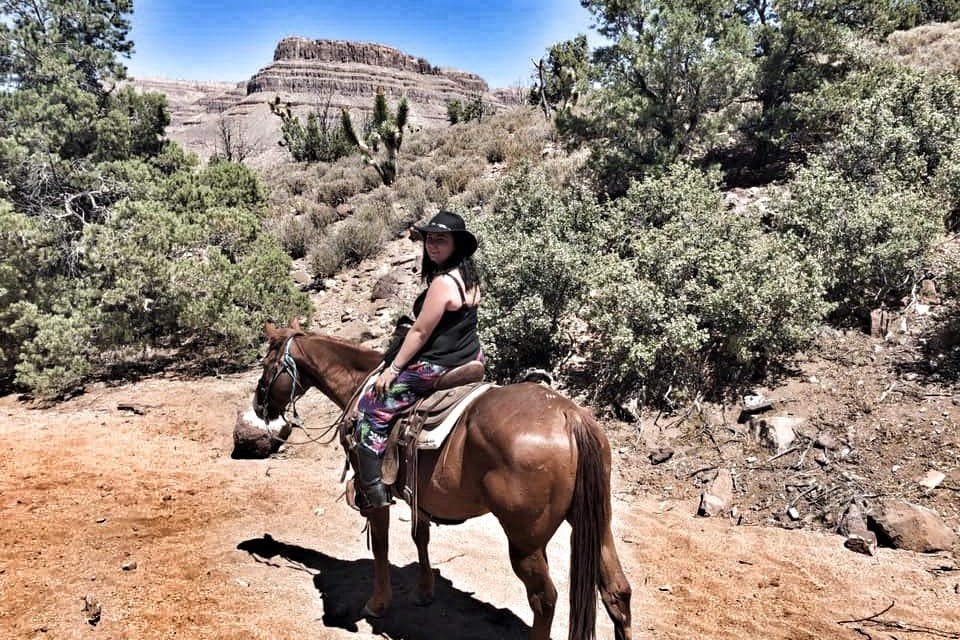 승마 어드벤처 투어 + 야생마 대여