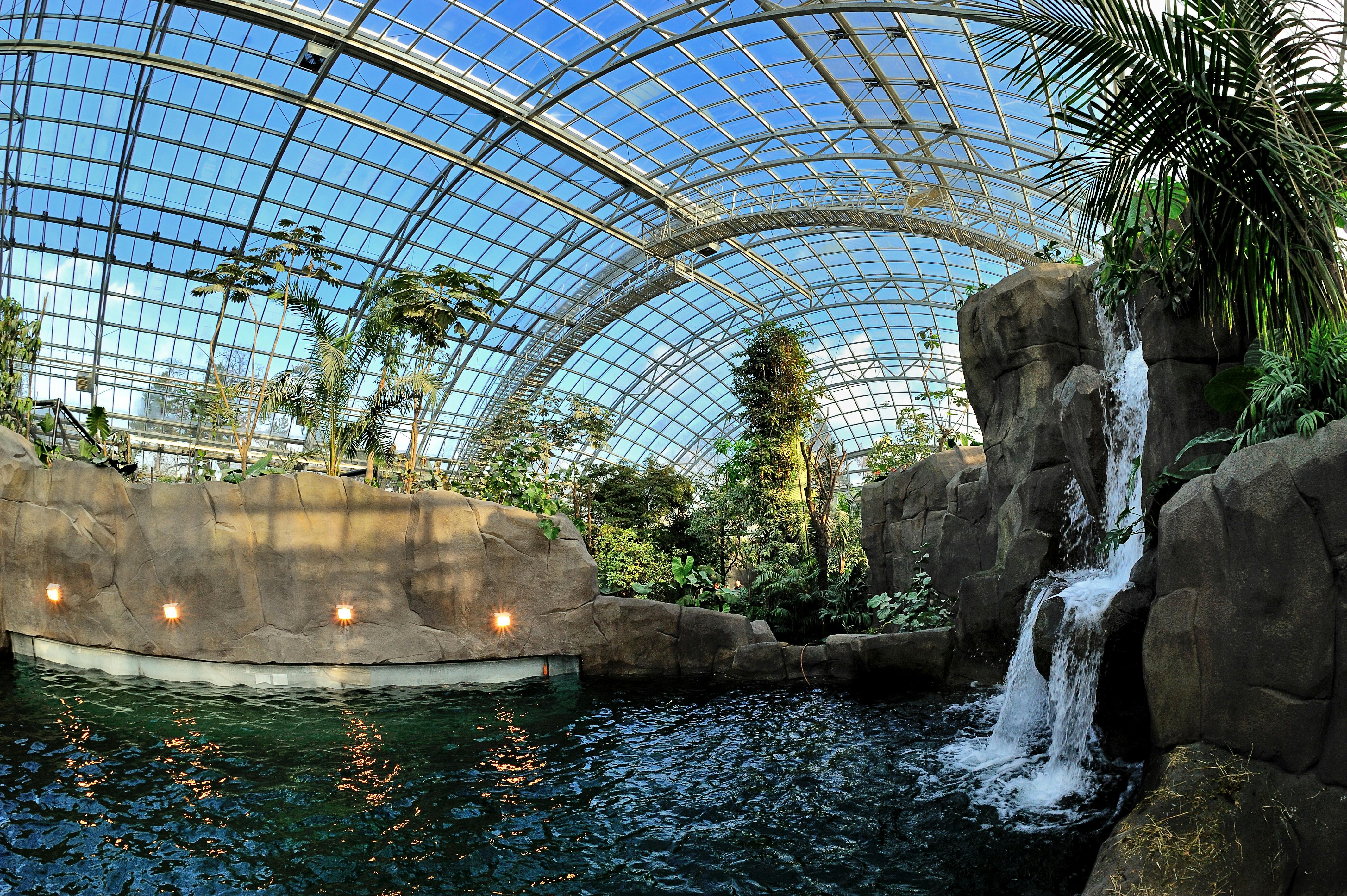 岩層、小さな滝、緑豊かな緑、自然光が差し込むガラス張りの天井を備えた屋内トロピカルエンクロージャー。