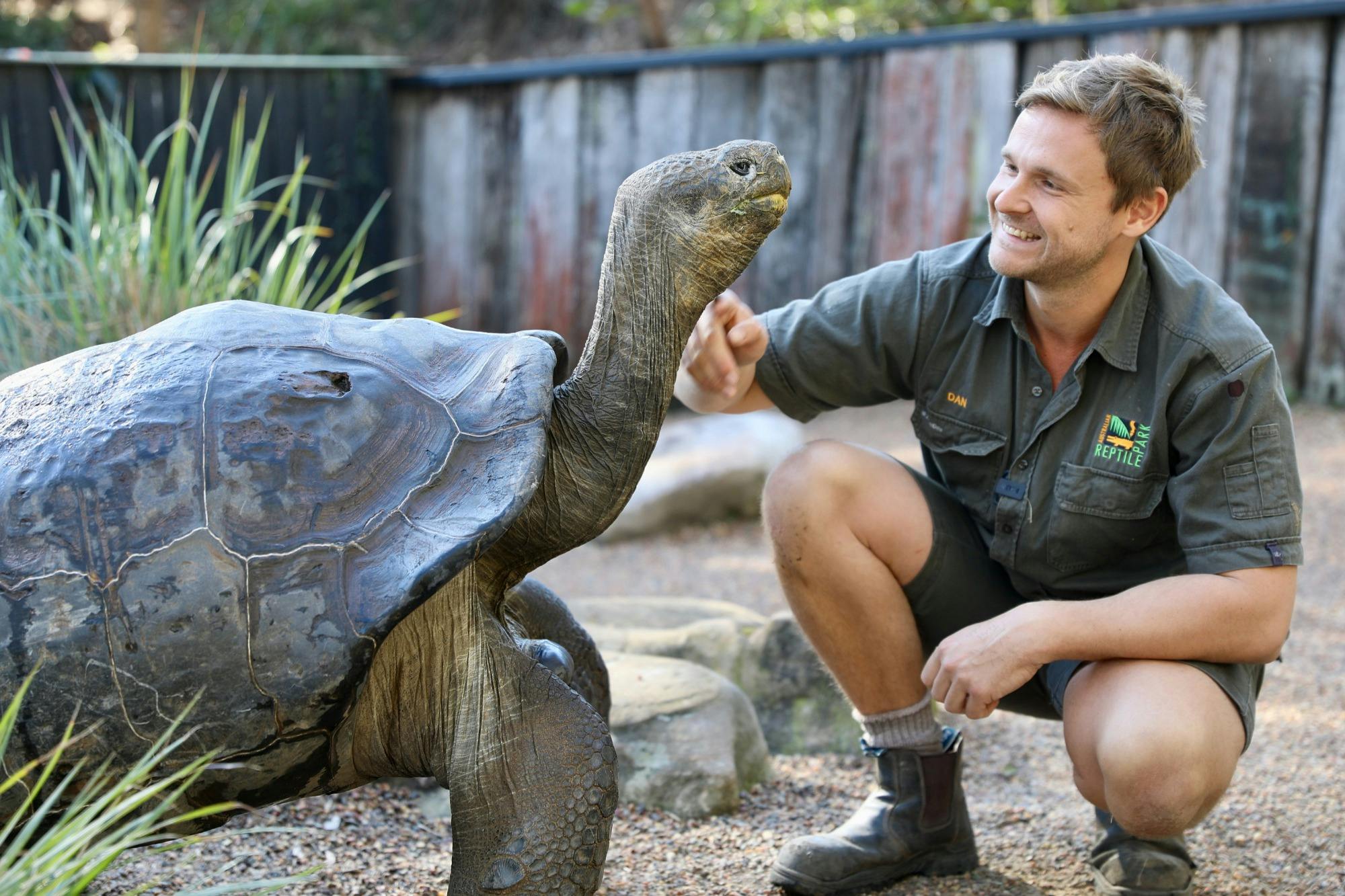Gardien de zoo avec une tortue des Galapagos