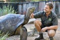 Gardien de zoo avec une tortue des Galapagos