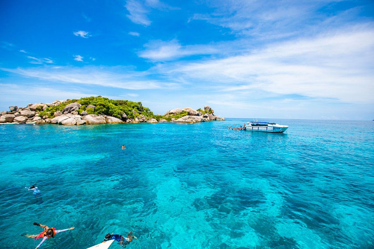Discover vibrant coral reefs and playful fish during the first snorkeling adventure.