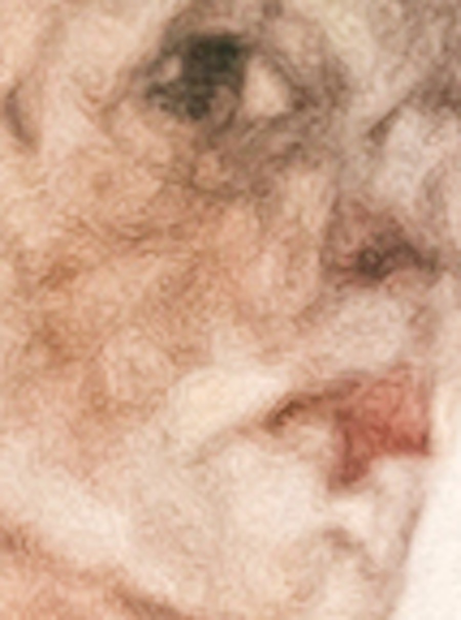 Wien Leopold Museum Biljetter