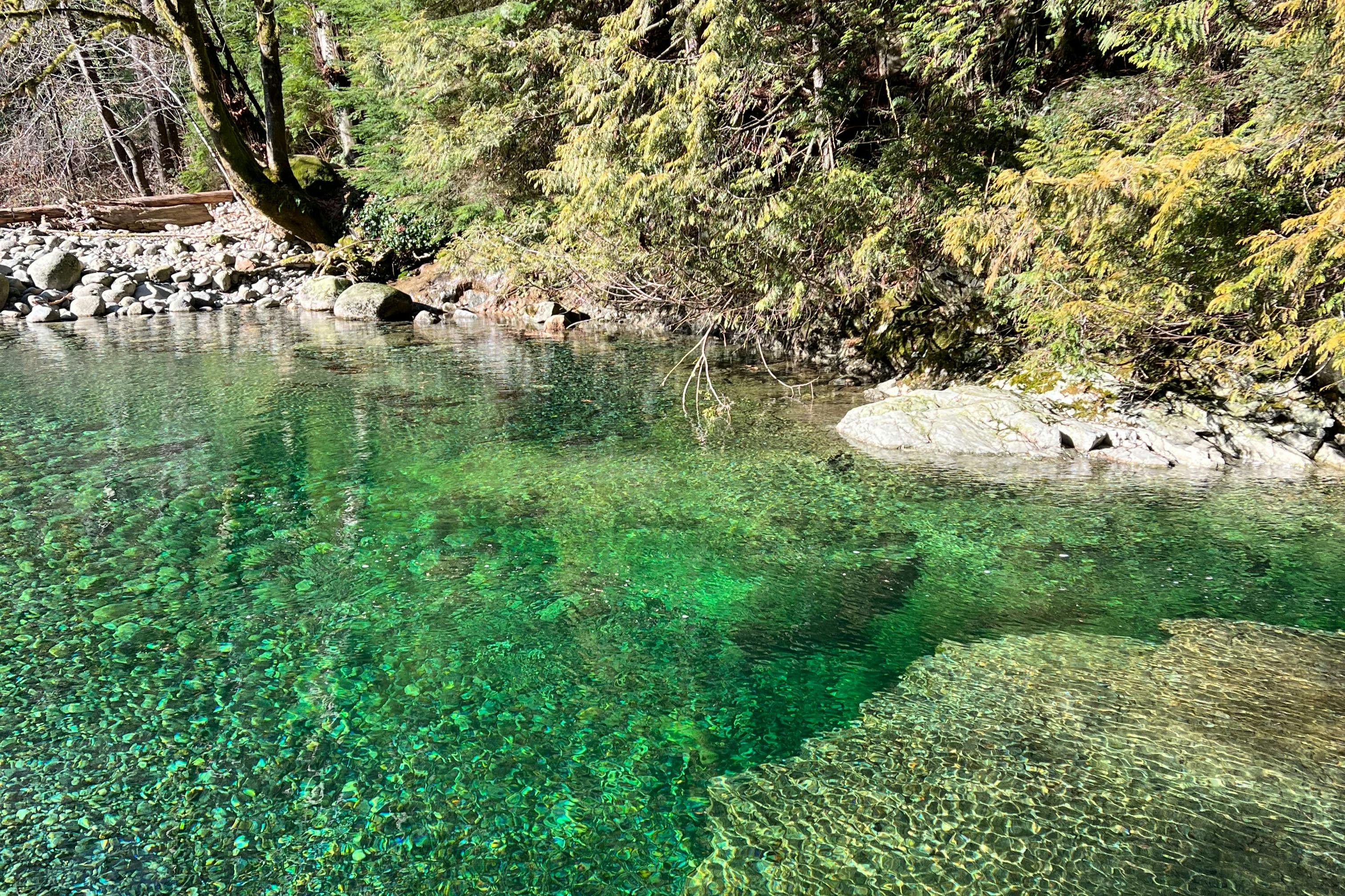 Απίστευτα νερά του Lynn Creek