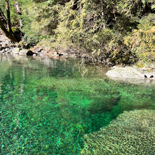 Vancouver: Guided Rainforest Hike with Waterfalls & Suspension Bridge + Transfer - Photo 4