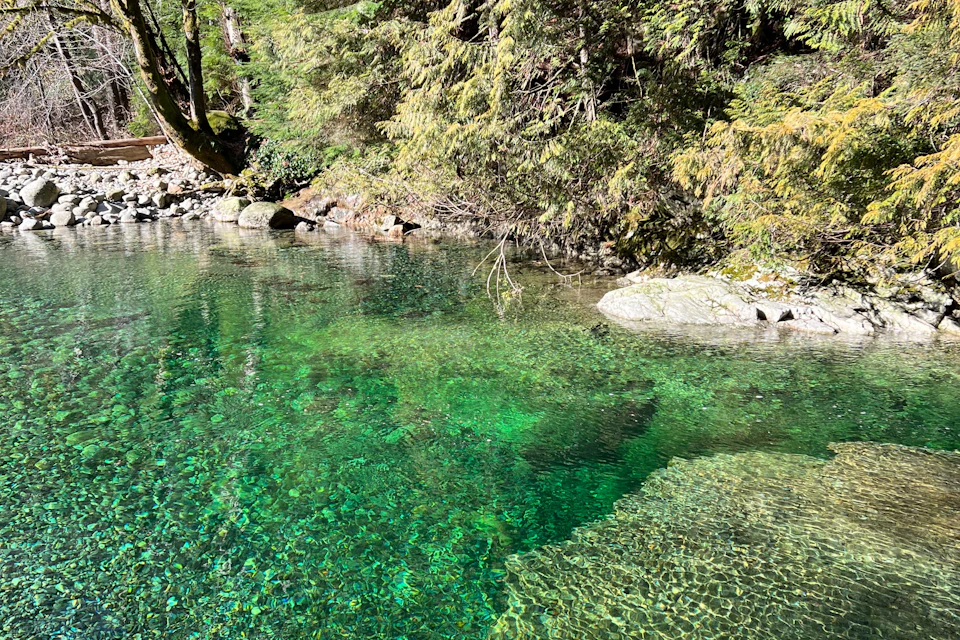 Incredible waters of Lynn Creek