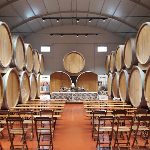 Wine Tasting in the historic Alagna Cellar in Marsala