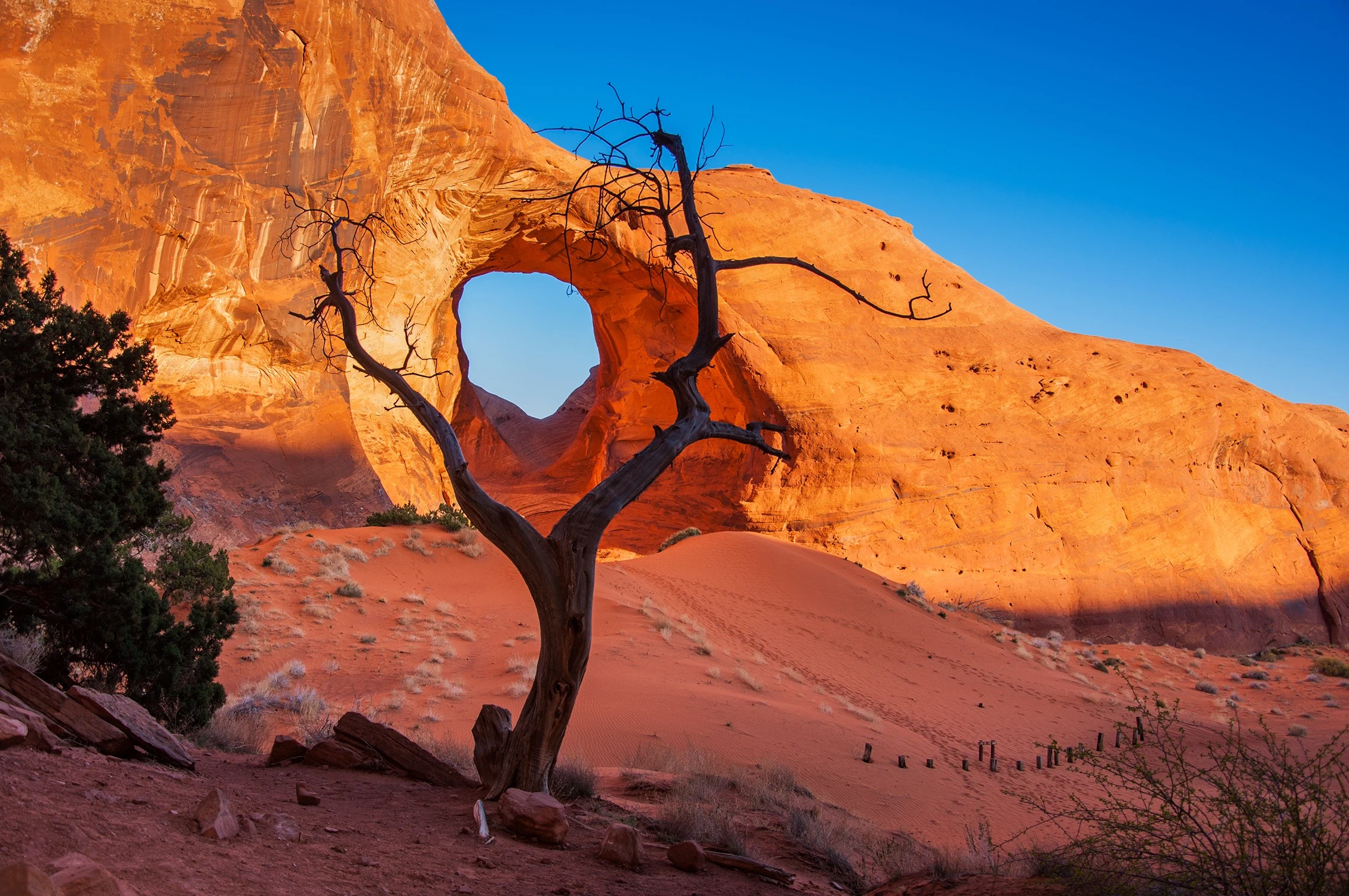 3.5 Hour Scenic & Cultural Tour of Lower Monument Valley