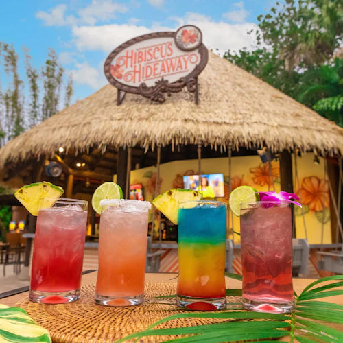 Discovery Cove: Entry Ticket - Photo 4