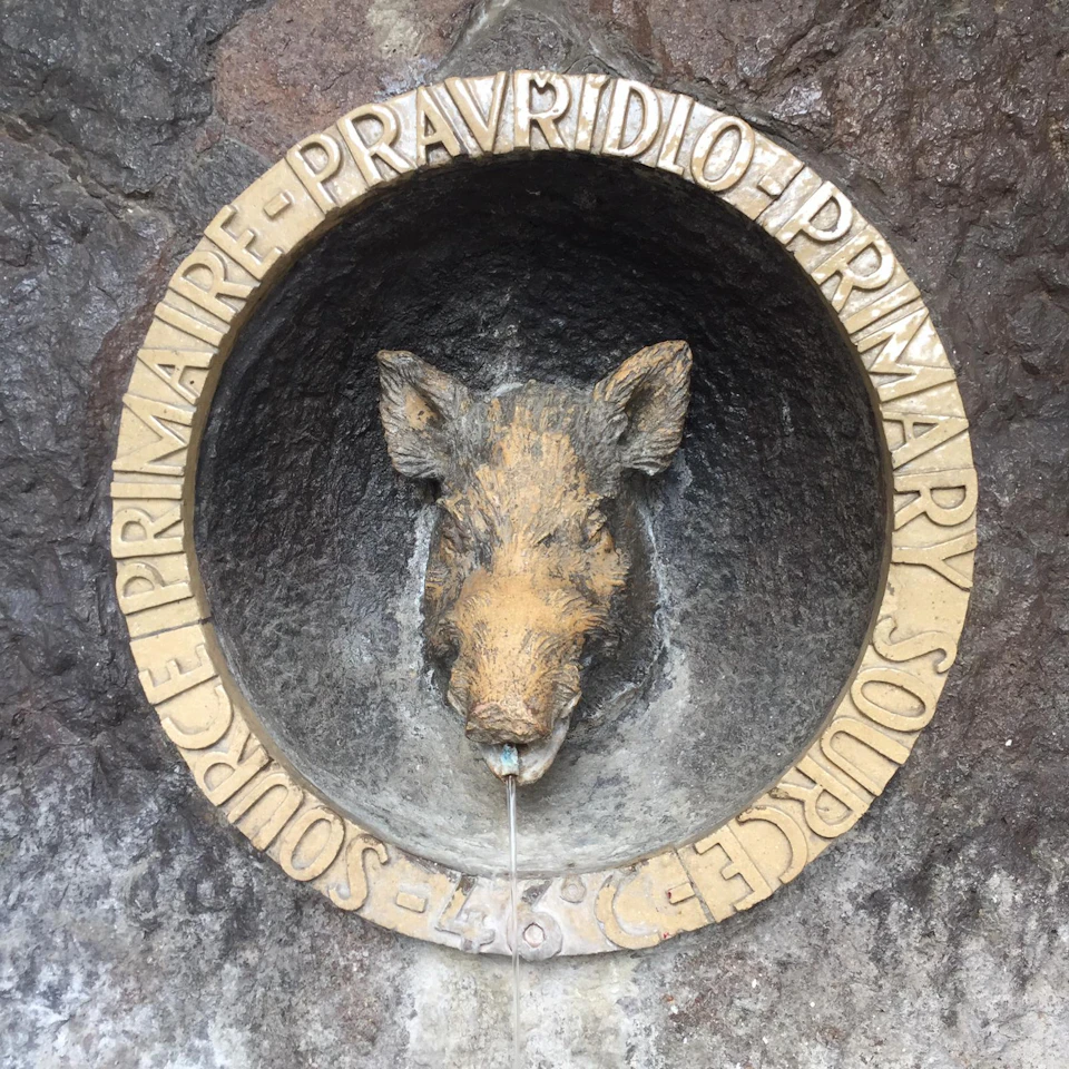 A stone fountain featuring a boar's head with water trickling from its mouth, encircled by text reading "Primary Source" in multiple languages.