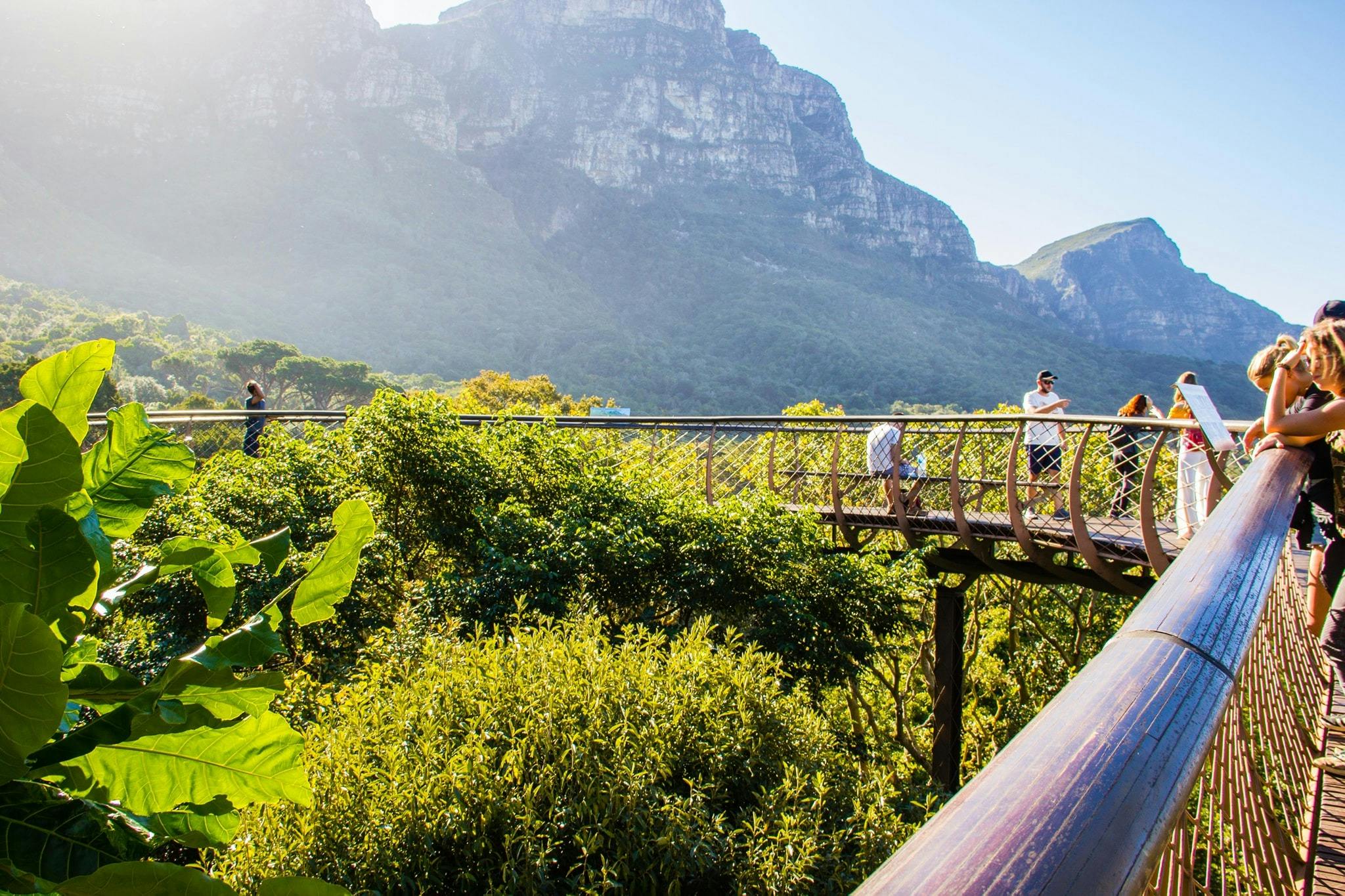 텍스트는 번역할 수 없는 이름 또는 용어입니다.