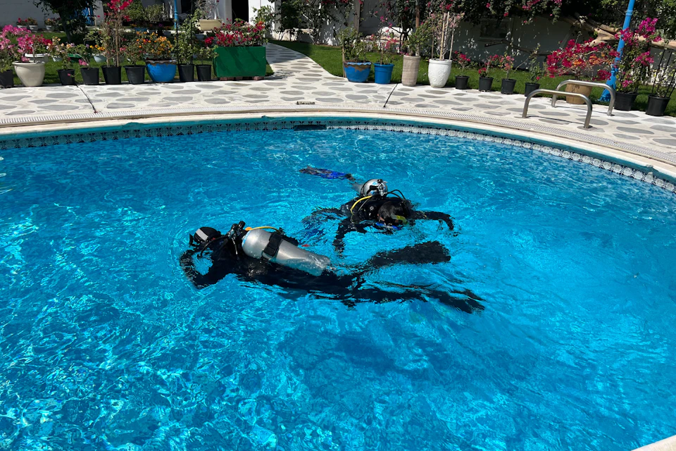 Final Pool Session