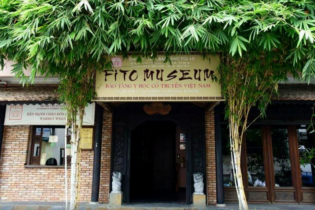 Fito Museum: Entry Ticket