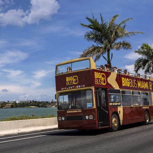 Bus turístico Miami