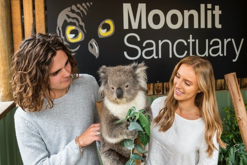 Månelys Sanctuary Wildlife Conservation Park