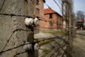 Stacheldraht in Auschwitz