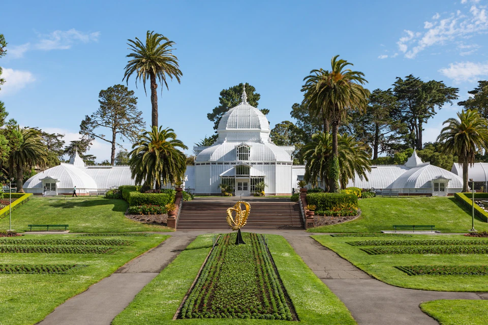 Flower of conservatory